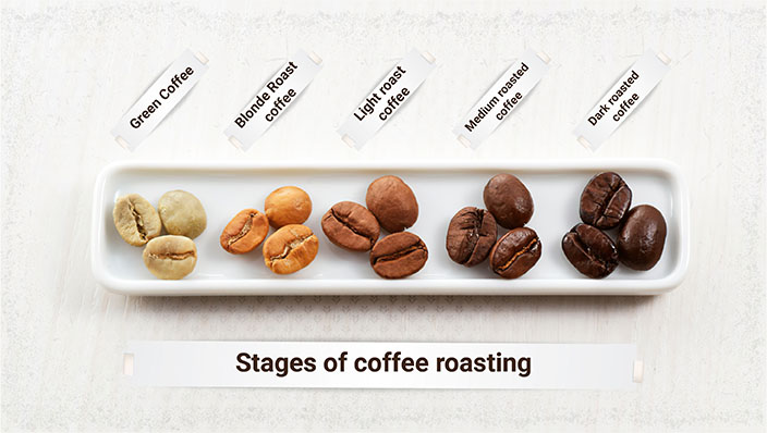 stages of coffee roasting